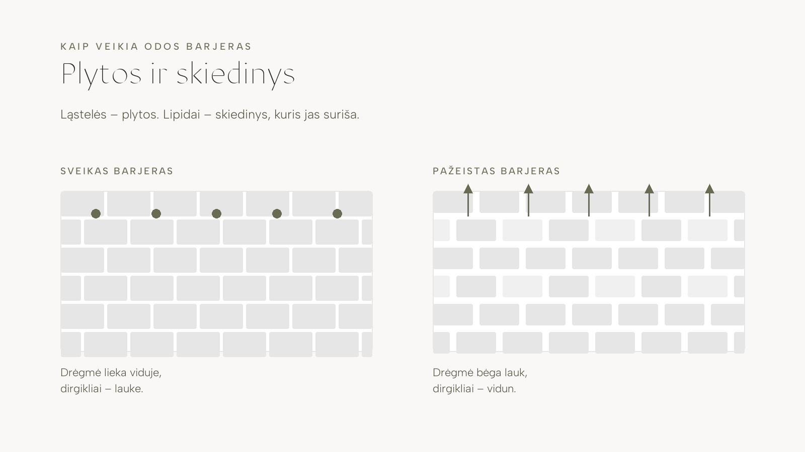 Schema: sveikas ir pažeistas odos barjeras