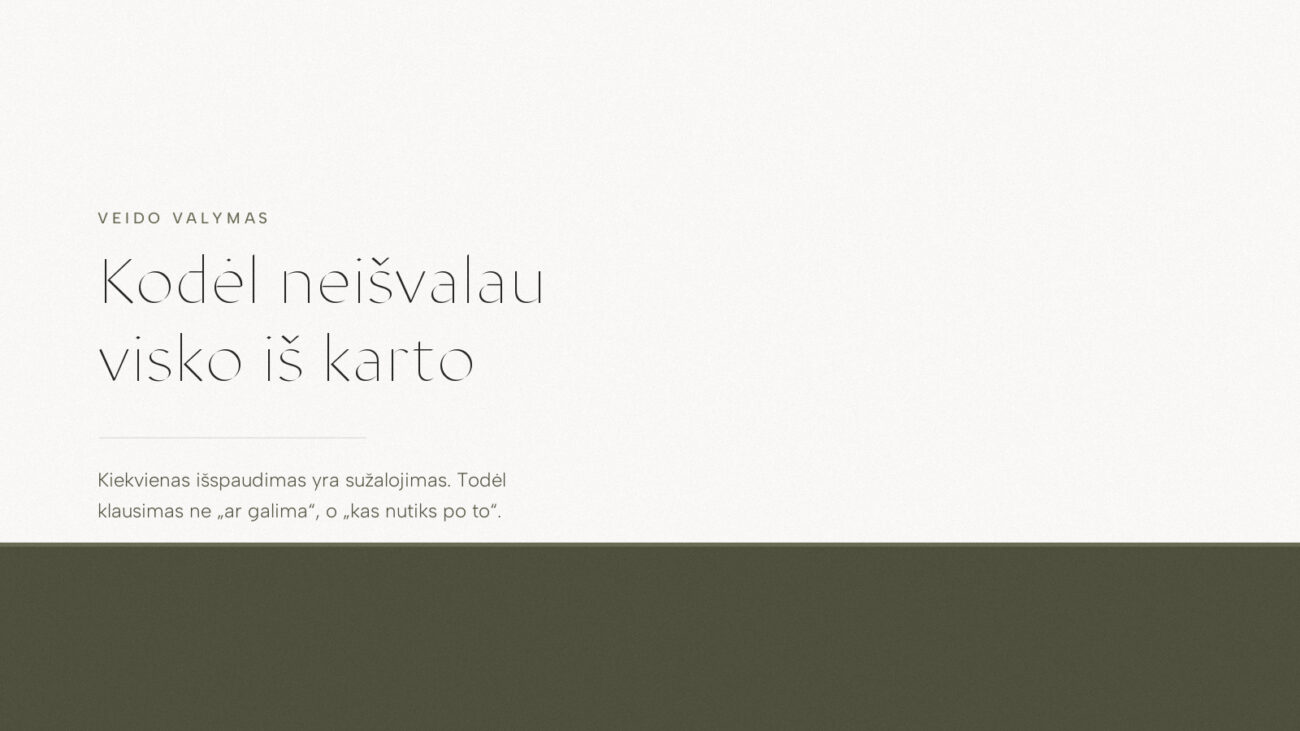 Įrašo viršelis: Kodėl neišvalau visko iš karto