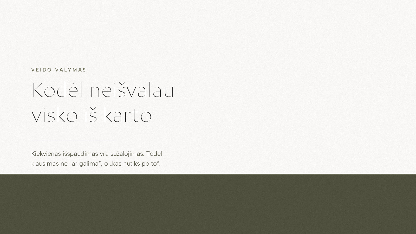 Įrašo viršelis: Kodėl neišvalau visko iš karto